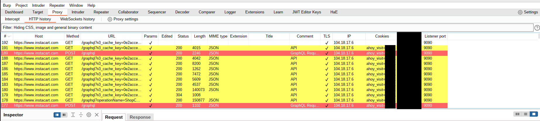 Burp Suite History page